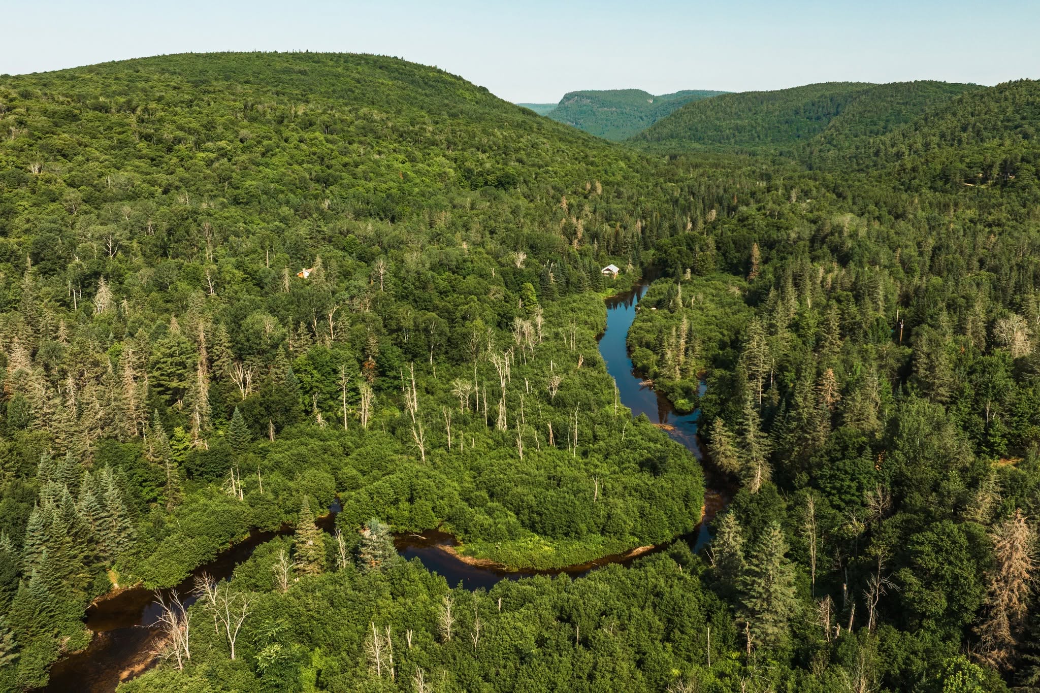 Forêt et rivière de Saint-Alexis-des-Monts vues d'en haut, en Mauricie